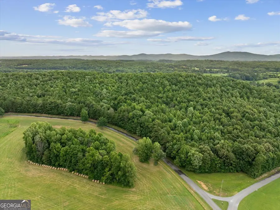 0 Fricks Gap Road #LOT 5, Chickamauga, GA 30707 - #2