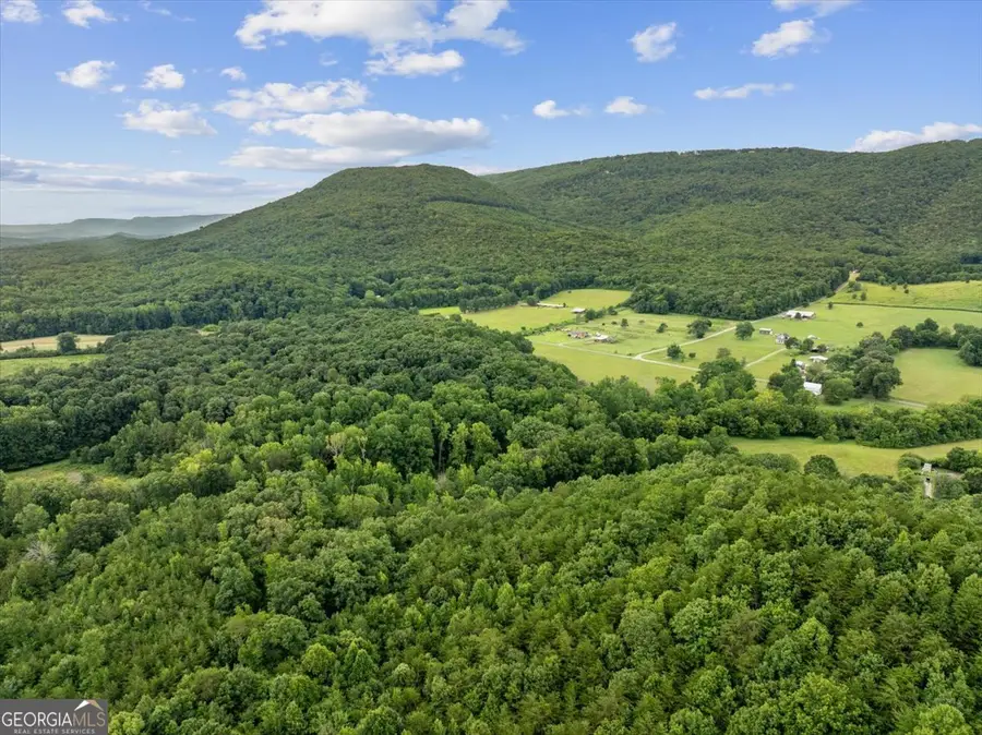 0 Fricks Gap Road #LOT 5, Chickamauga, GA 30707 - #3