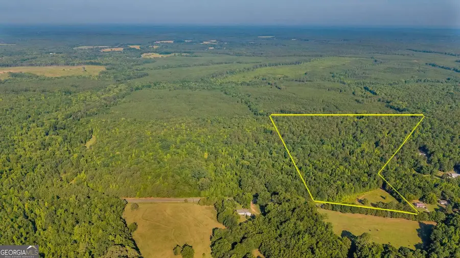 0 Cunningham Road, Greensboro, GA 30642 - #3