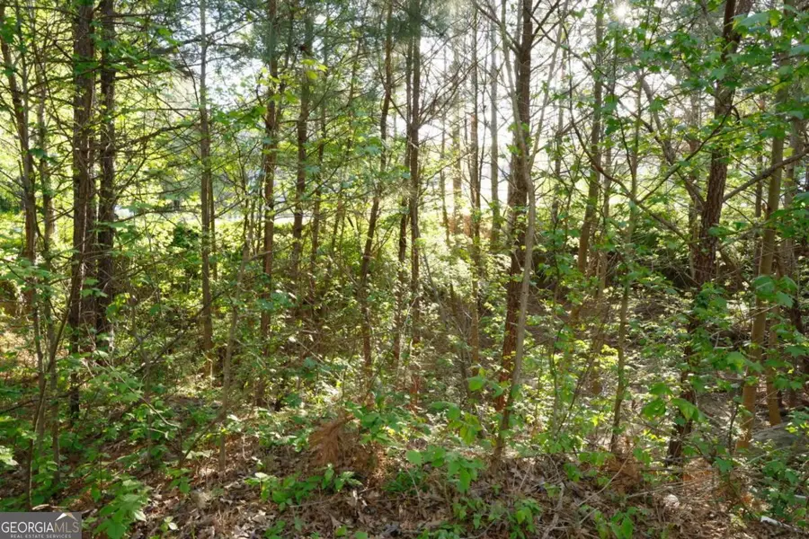 0 Hollyhock Lane, Dallas, GA 30132 - #3
