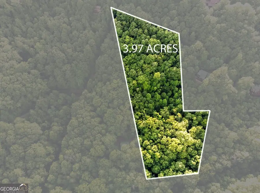 LOT 18 Cub Trail, Cherry Log, GA 30522 - #2