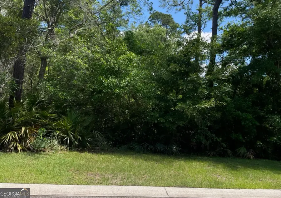 LOT 722 Mooring Lane, Saint Marys, GA 31558 - #2