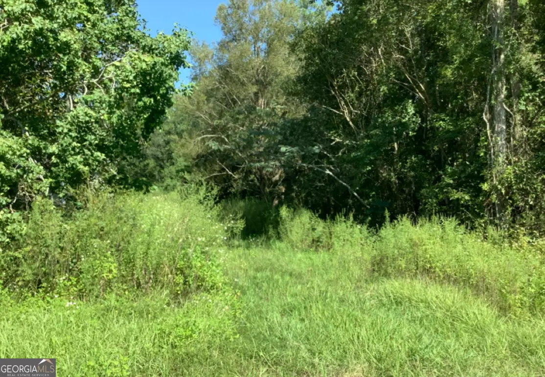 0 Burnt Fort Road, White Oak, GA 31568 - #1