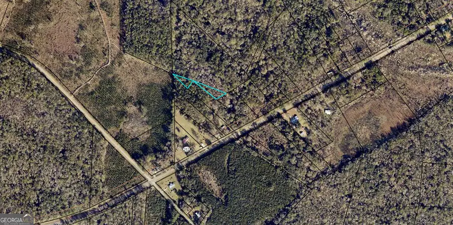0 Burnt Fort Road, White Oak, GA 31568 - #3