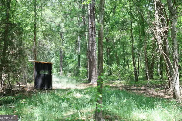 2239 Brady Road, De Soto, GA 31743