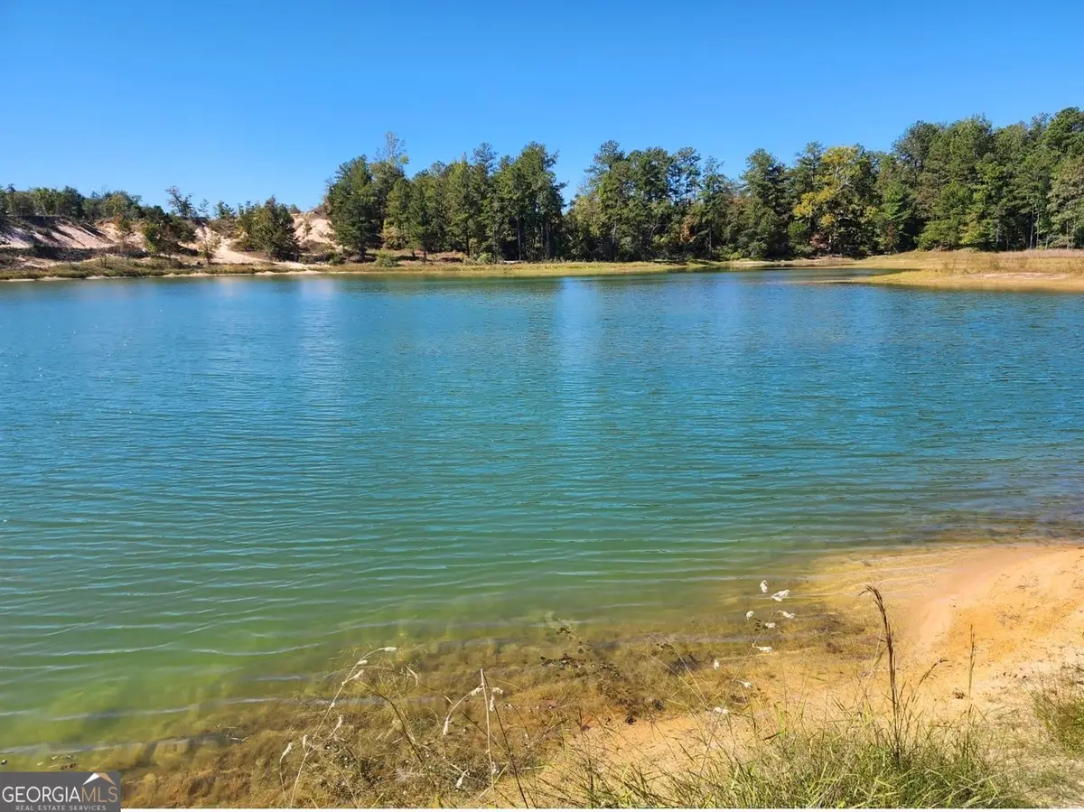 0 Neal Road, Junction City, GA 31812 - #1
