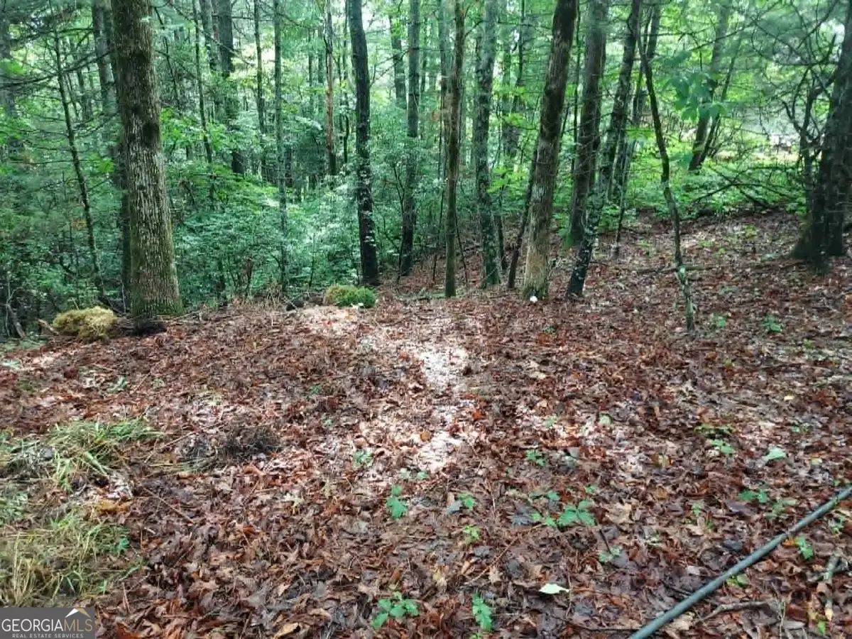 0 LOT 3 Jiminy Peak, Sky Valley, GA 30537 - #1