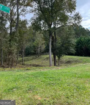1001 Butterfly Cove Way, Locust Grove, GA 30248 - #1