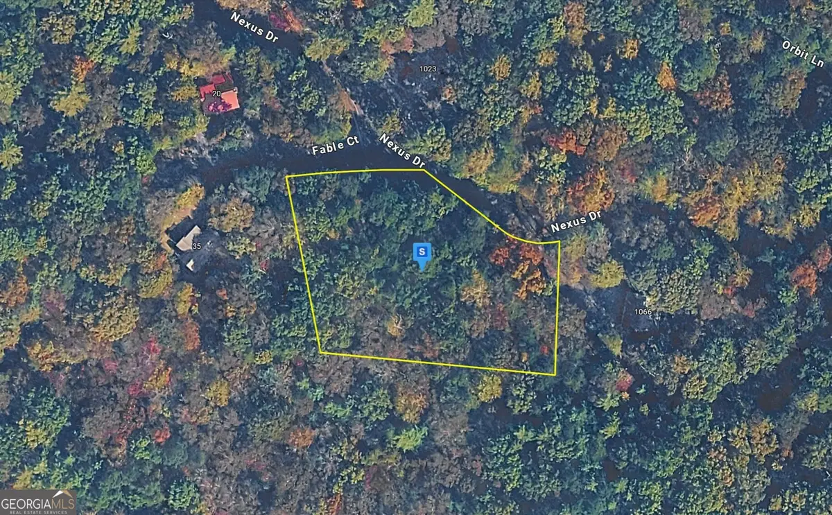 1060 Nexus Dr, Ellijay, GA 30540 - #1