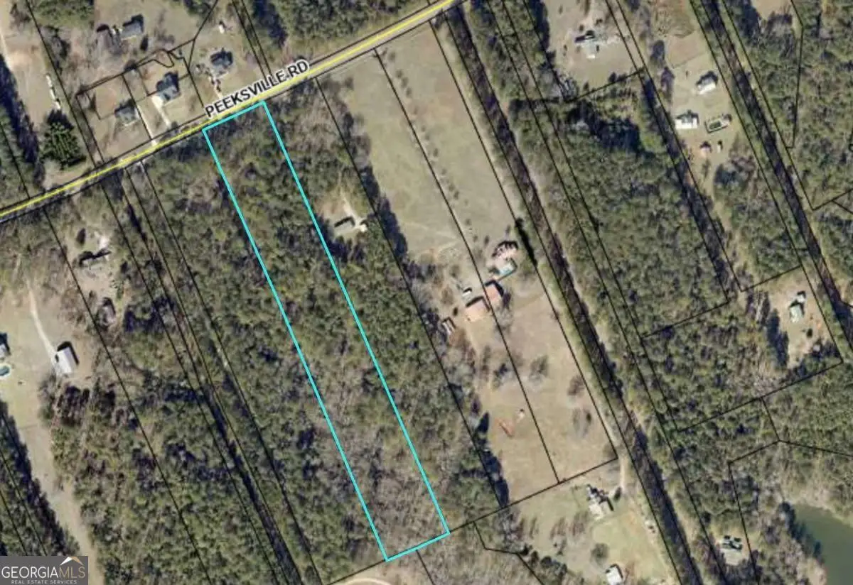 0 Peeksville Road, Locust Grove, GA 30248 - #1