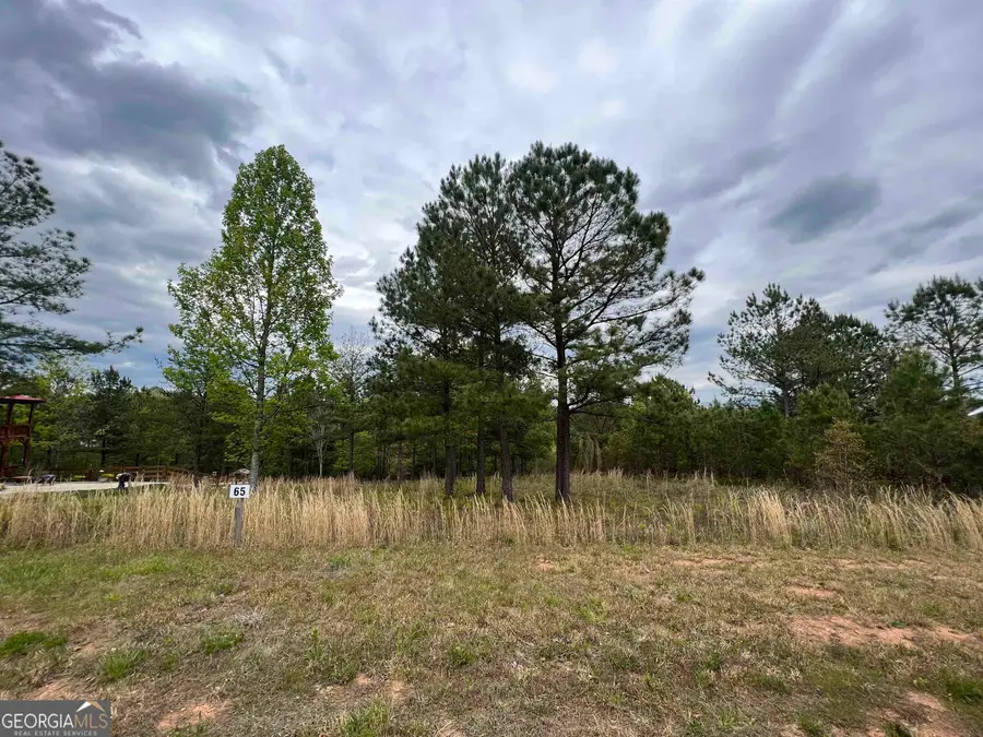 LOT 65 Village Loop, Blairsville, GA 30512 - #3