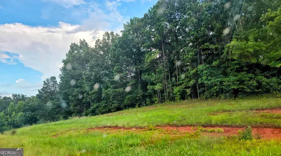 19 Highway, Thomaston, GA 30286 - #2