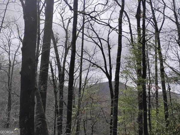 0 LOT 289 Cobblewood Trail, Sky Valley, GA 30537