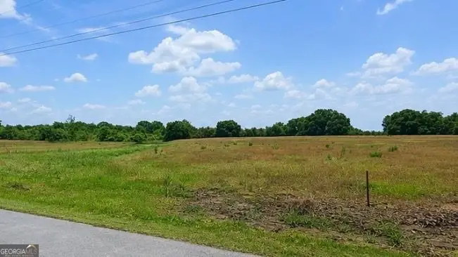 LOT 31 Livingston Road, Rome, GA 30161 - #3