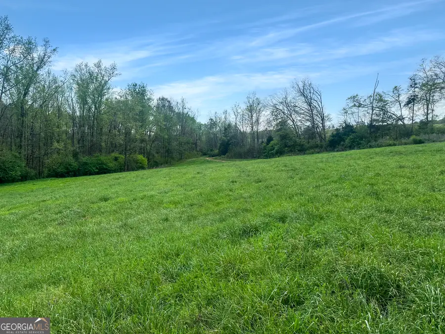 0 Gooseneck Road, Eastanollee, GA 30538 - #2