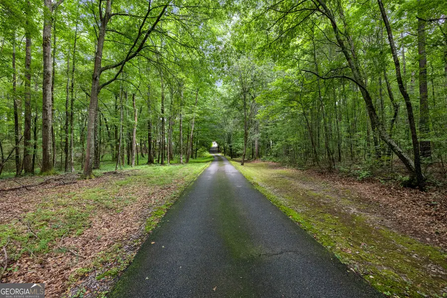 55 Bretts Point, Sharpsburg, GA 30277 - #2