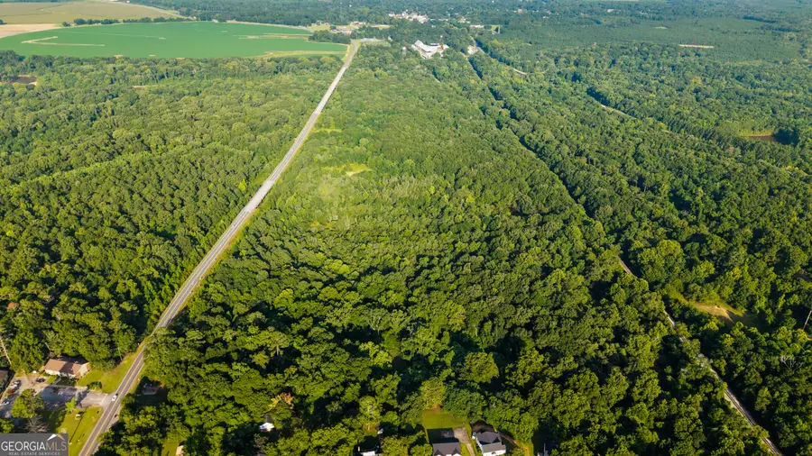 0 State Route 26 Road, Montezuma, GA 31063 - #2