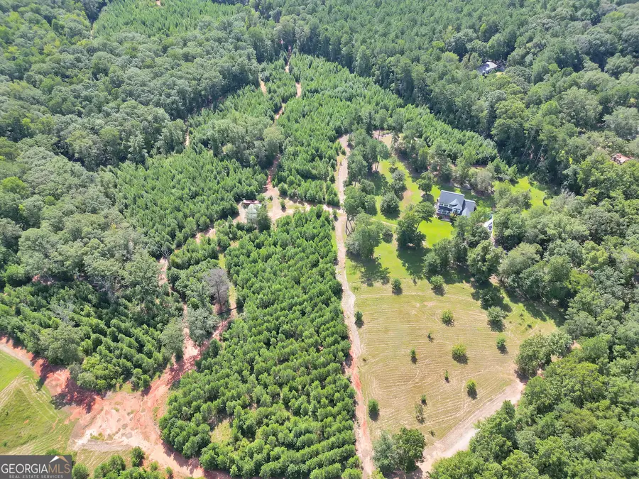 153 LOT 1 AND 2 Highland Circle, Flovilla, GA 30216 - #3