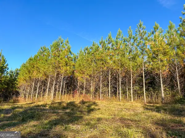 49.2 ACRES Jordon Road, Waverly Hall, GA 31831