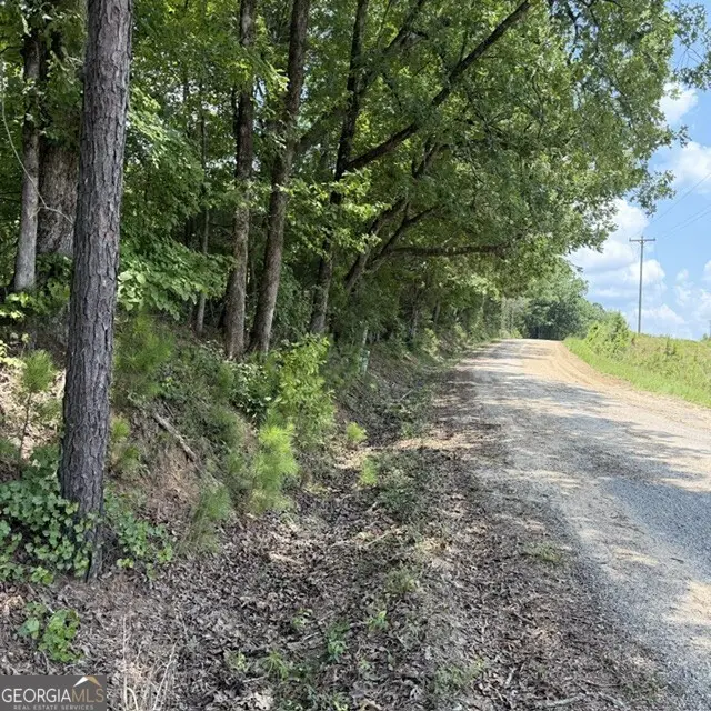 80.61 ACRES Howard Neal Road, Junction City, GA 31812 - #1