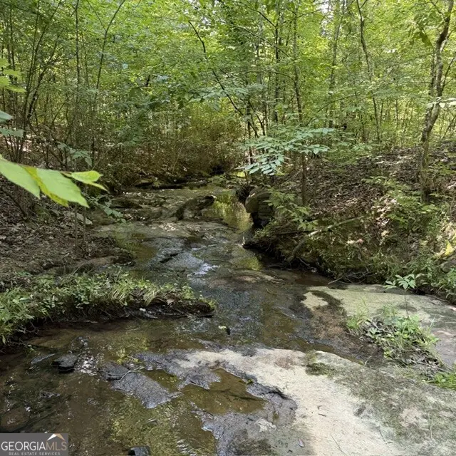 80.61 ACRES Howard Neal Road, Junction City, GA 31812 - #2