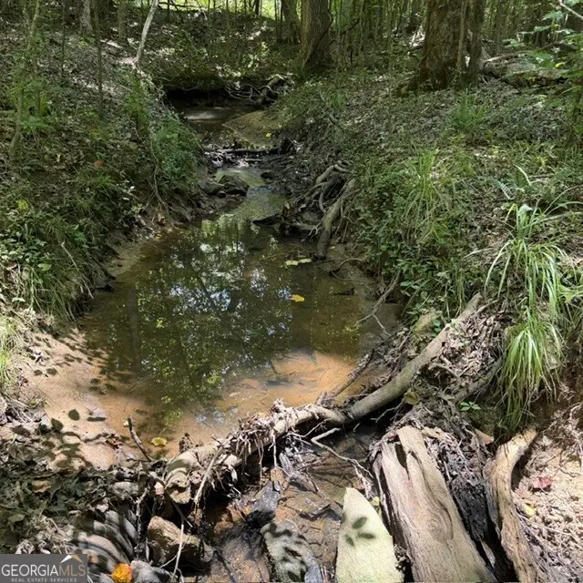 80.61 ACRES Howard Neal Road, Junction City, GA 31812 - #3