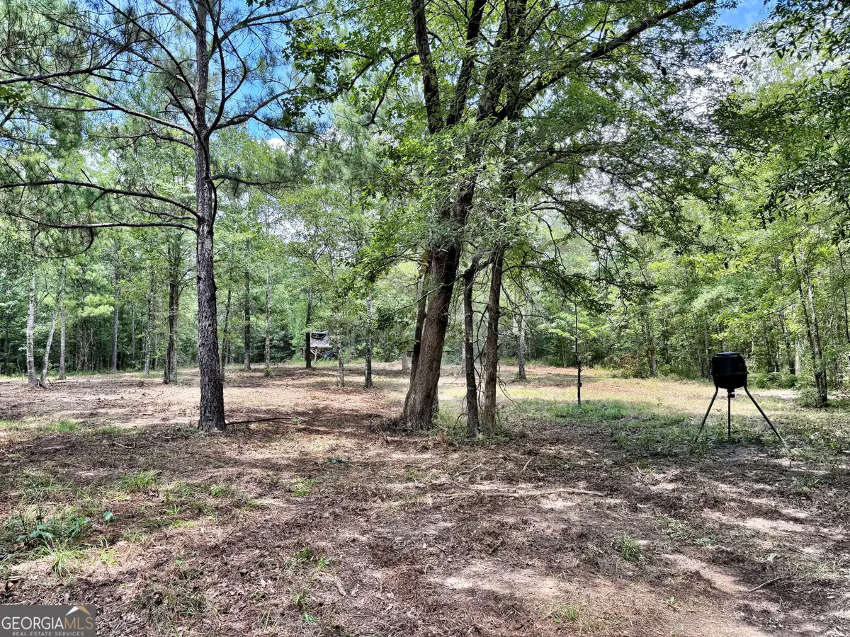 1 Us Highway 80 W, Roberta, GA 31078 - #1