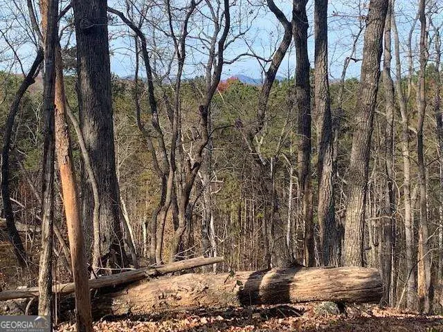 0 Auraria Ridge, Dawsonville, GA 30534 - #3