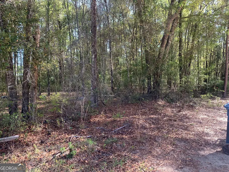 220 Compass Road, Jesup, GA 31545 - #3