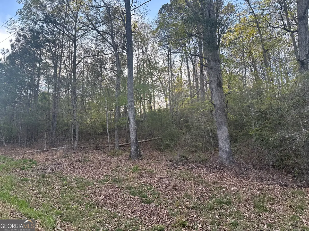 1141 Skipstone Drive, Watkinsville, GA 30677 - #1