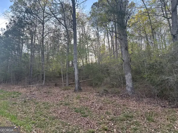 1141 Skipstone Drive, Watkinsville, GA 30677