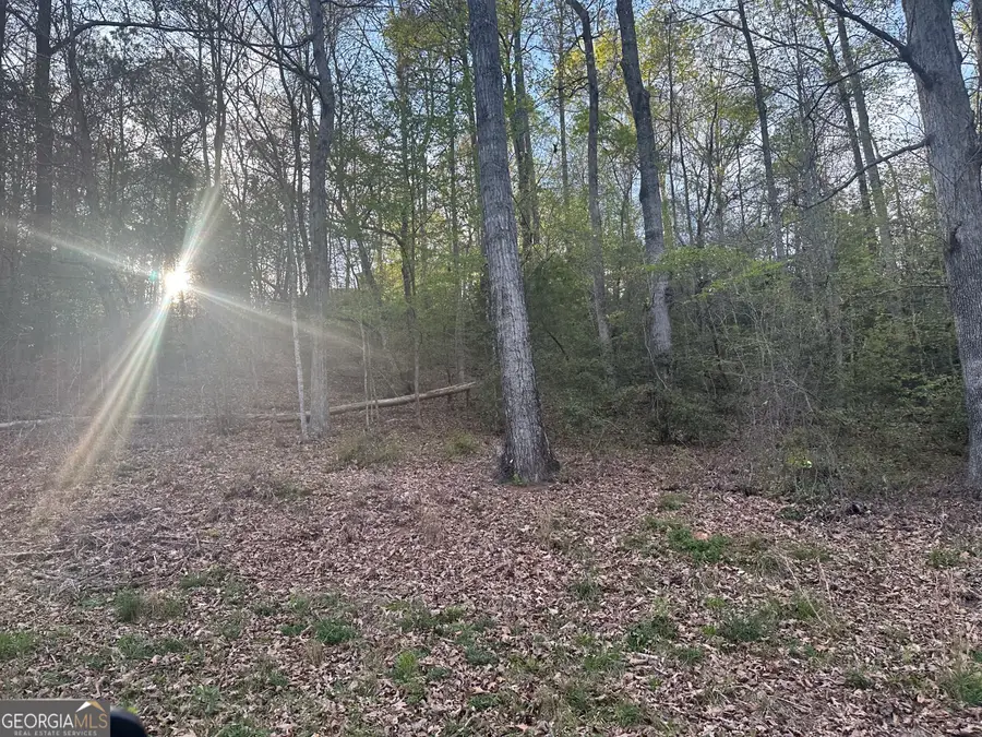 1141 Skipstone Drive, Watkinsville, GA 30677 - #3