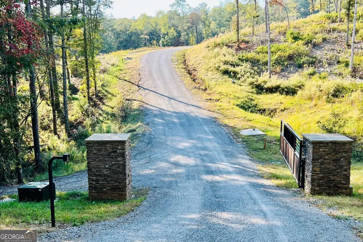 LOT 17 Mountain Laurel Ridge, Mineral Bluff, GA 30559 - #1