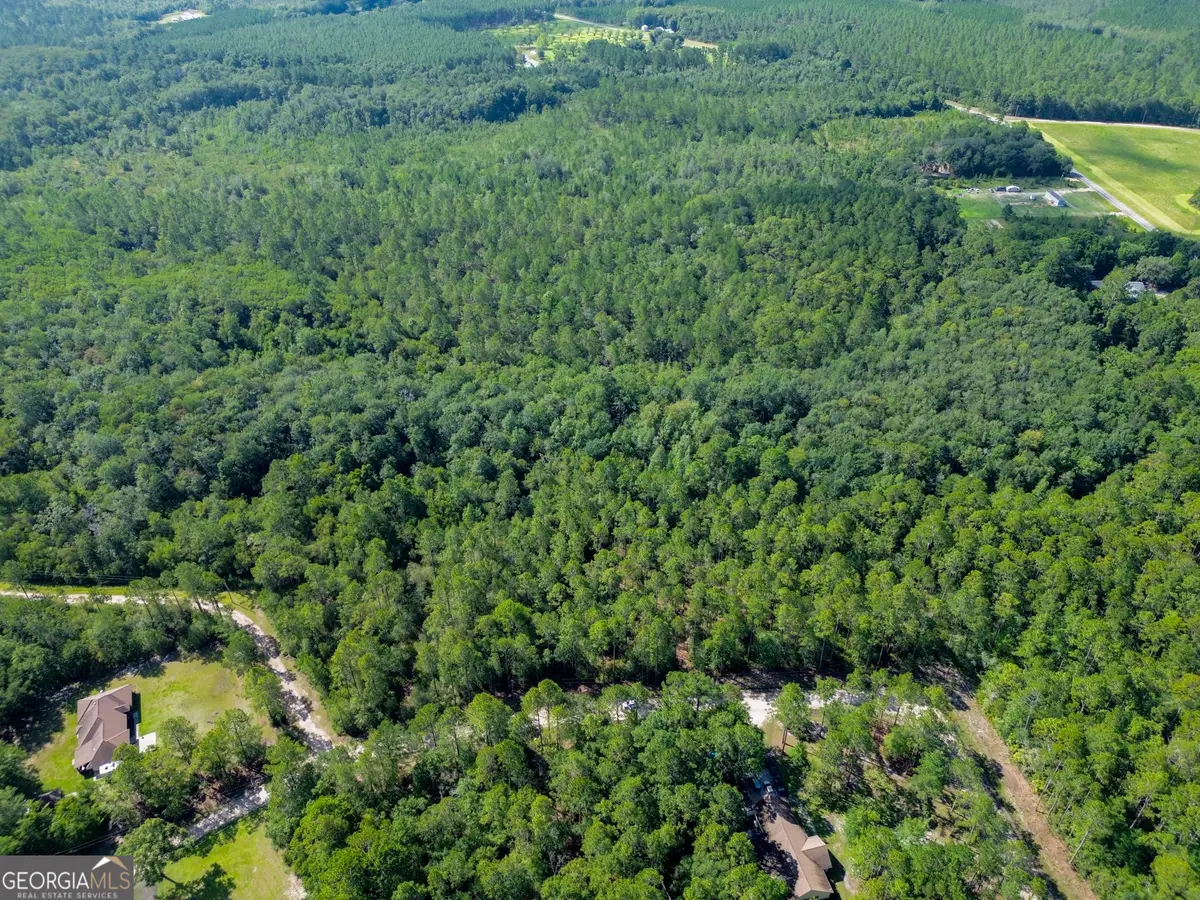 0 Davis Court, Hinesville, GA 31313 - #1
