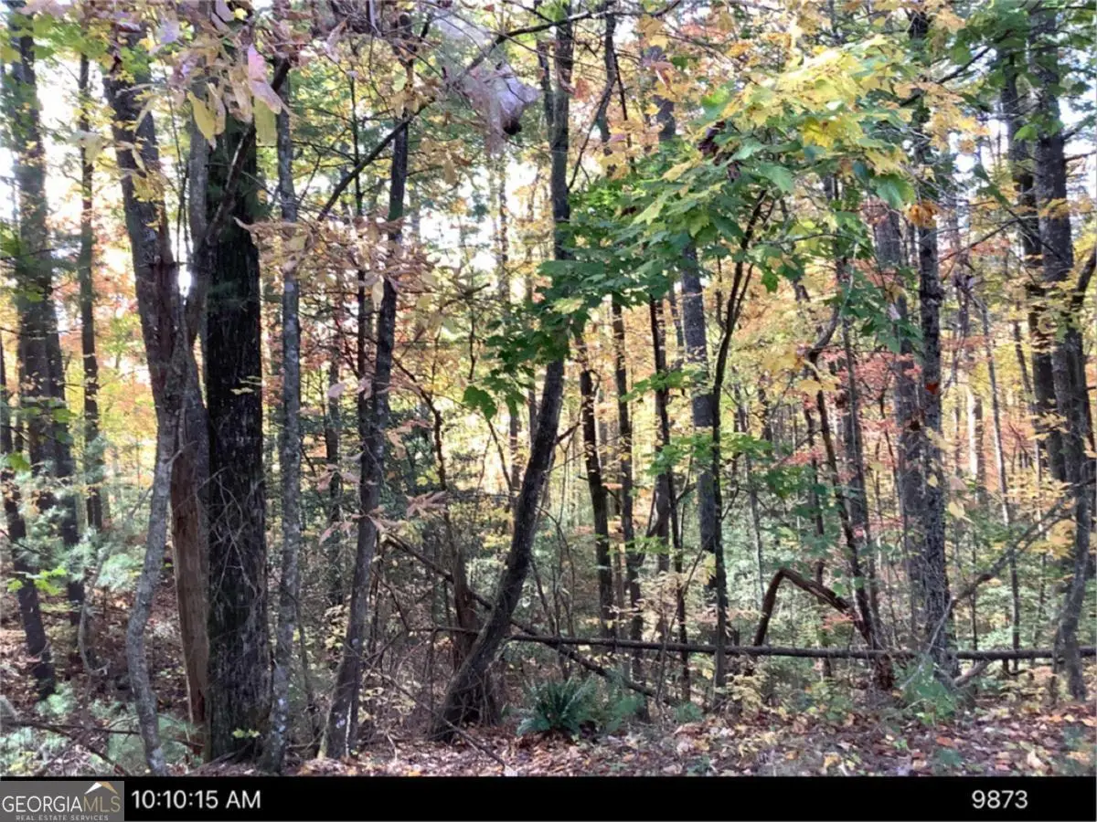 - Andros Court, Ellijay, GA 30540 - #1