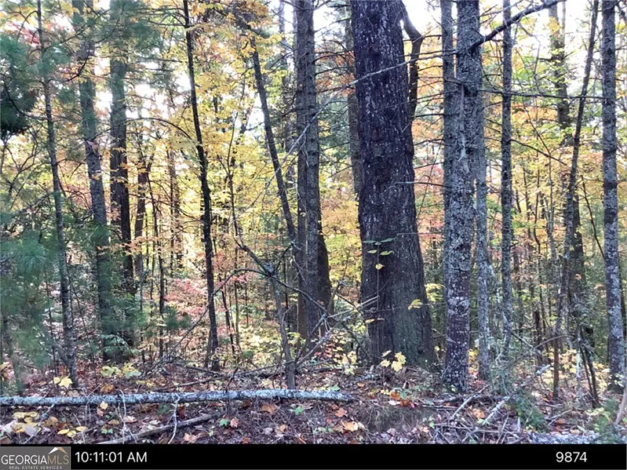 - Andros Court, Ellijay, GA 30540 - #2