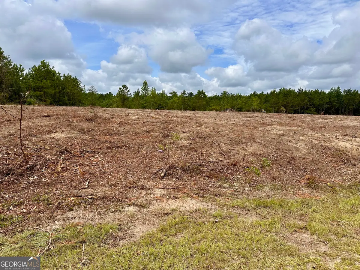 LOT A Rock Springs Road, Dublin, GA 31021 - #1