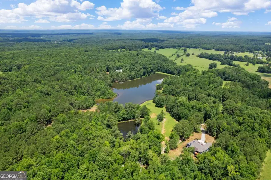 10861 Hutcheson Ferry Road, Chattahoochee Hills, GA 30268 - #2