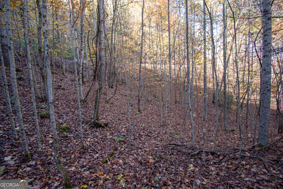 LOT 66 Choctaw Ridge Trail, Murphy, NC 28906 - #1