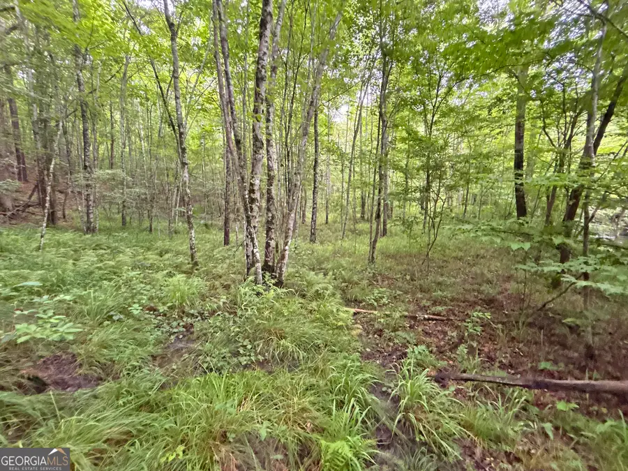 20AC Yonder Way, Talking Rock, GA 30175 - #2