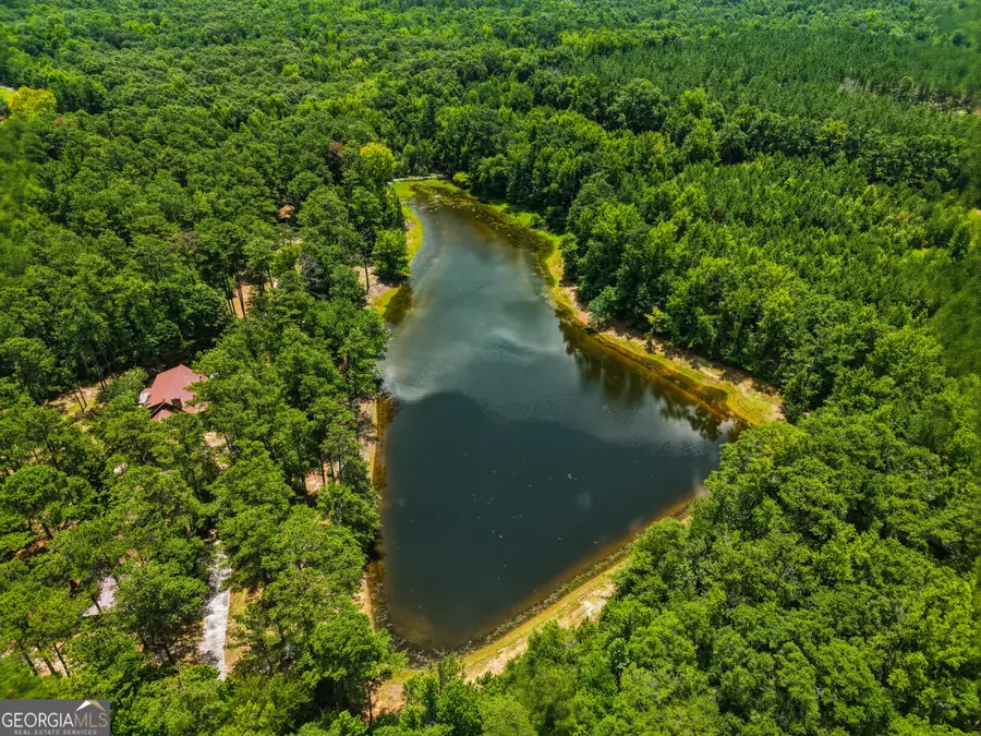1202 Eddie Martin Road, Buena Vista, GA 31803 - #3