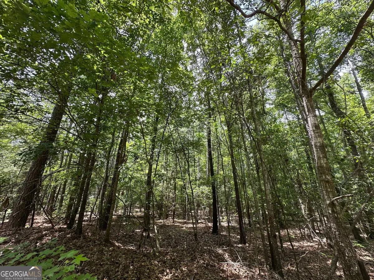9.82 +/- ACRES Springfield Road, Sparta, GA 31087 - #1