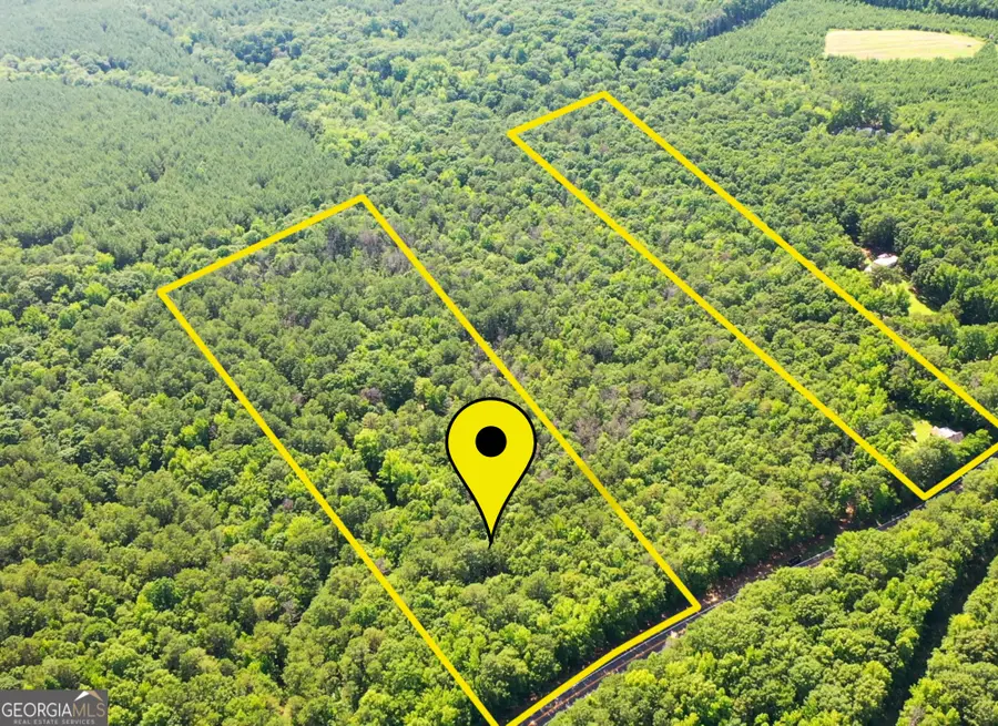 9.82 +/- ACRES Springfield Road, Sparta, GA 31087 - #2