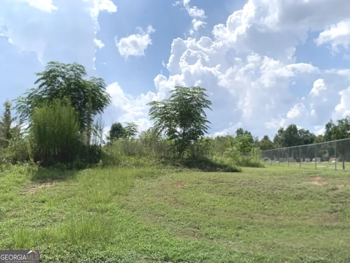 0 Murphy Street, Midville, GA 30441 - #1