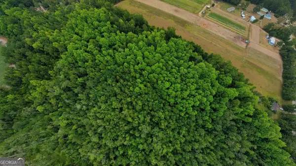 10600 Highway 80 E, Brooklet, GA 30415