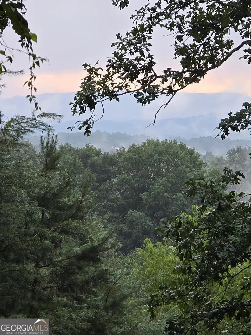 LOT 6 B And W Ranch Road, Blairsville, GA 30512 - #1