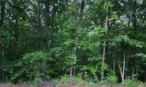 0 Old Mckaskey Creek Road Se, Cartersville, GA 30121