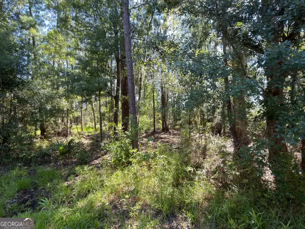 0 Mallard Pond Road, Midway, GA 31320