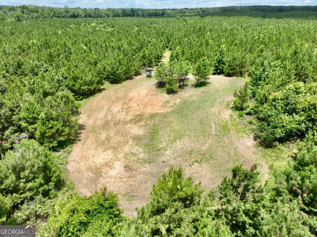 0 Everett Wood Road, Ideal, GA 31041 - #1