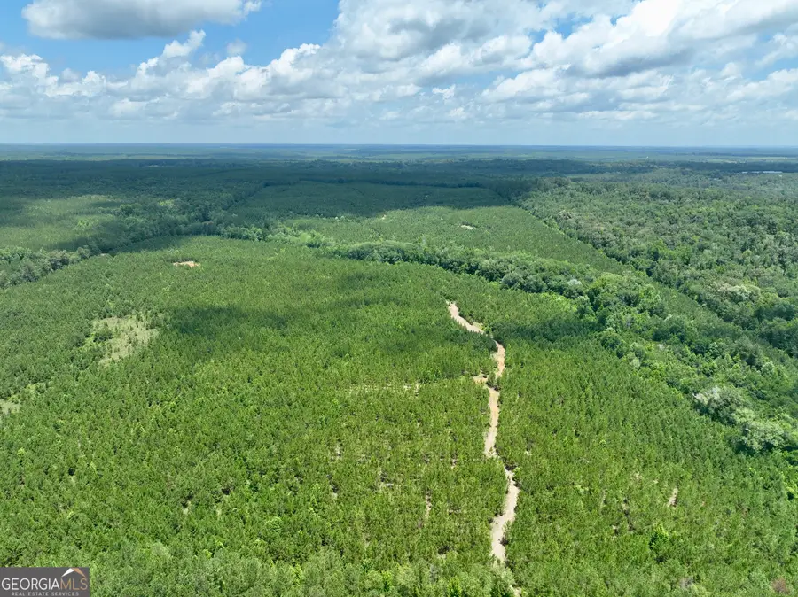 0 Everett Wood Road, Ideal, GA 31041 - #3